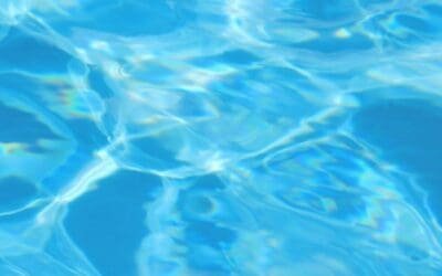 Battle Algae: Clear Your Pool Water