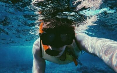 Algae-Free Pools: Expert Tips for Prevention